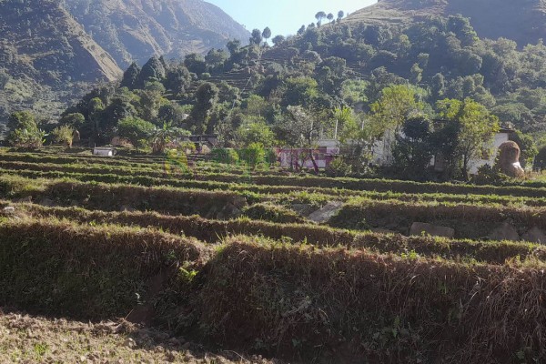 स्थानीय तहको जस्तो चुनावी रौनक छैन् गाउँमा 